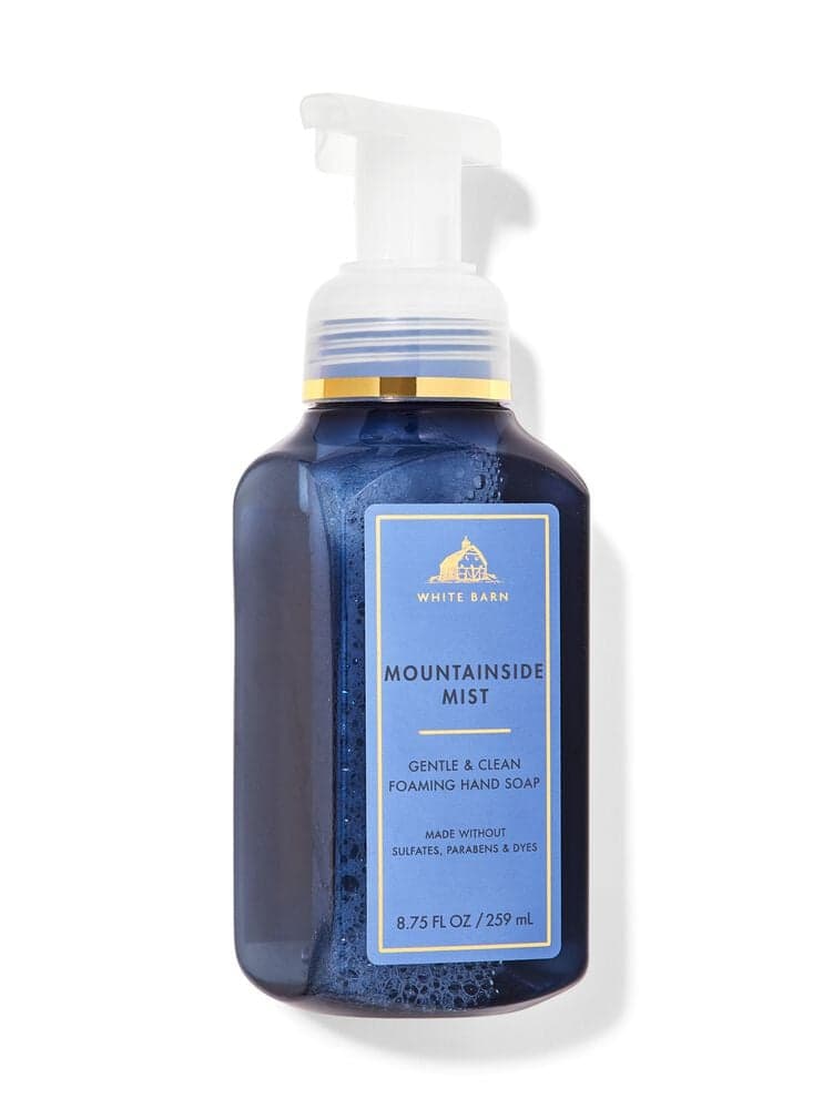Mountainside Mist Foaming Hand Soap - BATH & BODY WORKS
